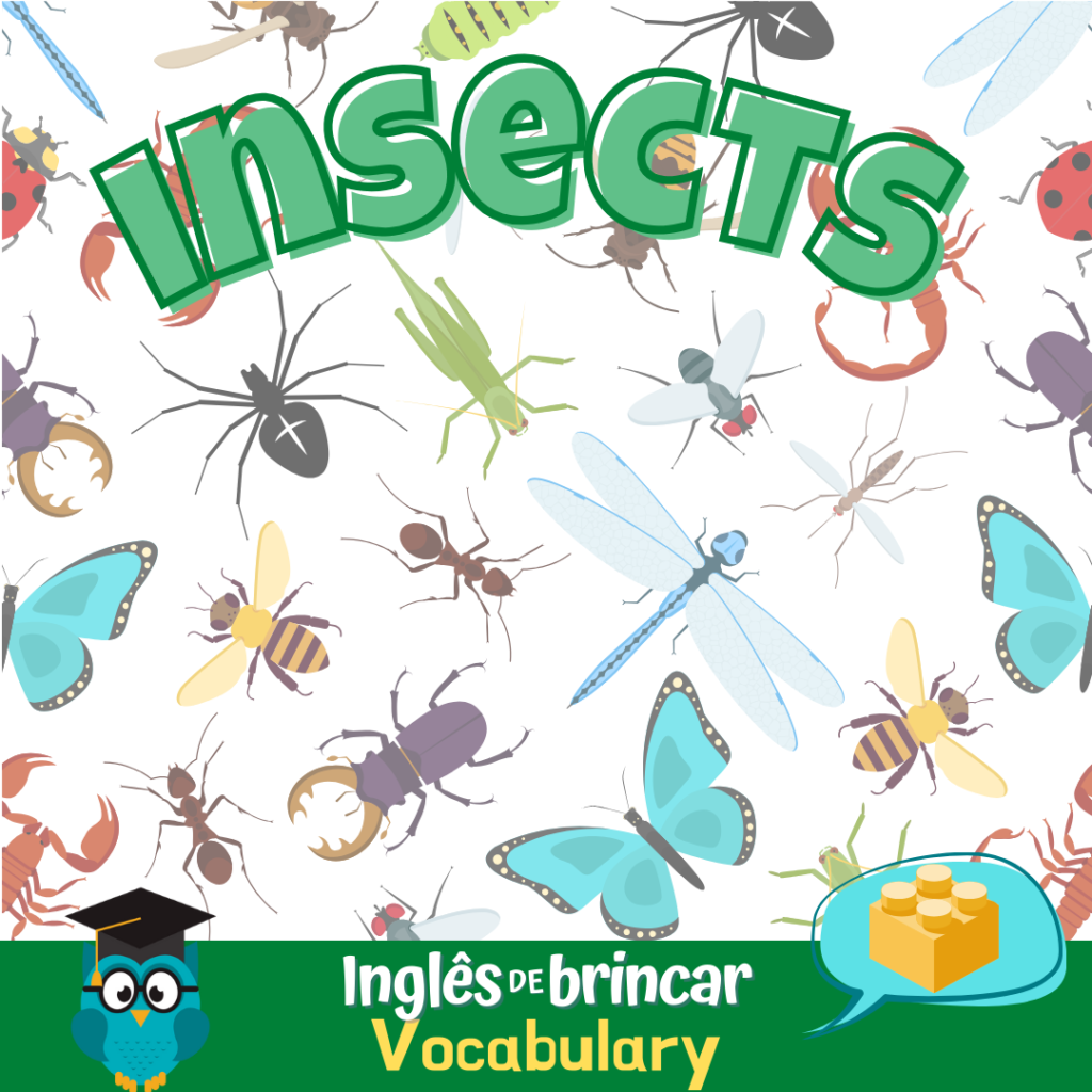 Insects - Inglês de Brincar